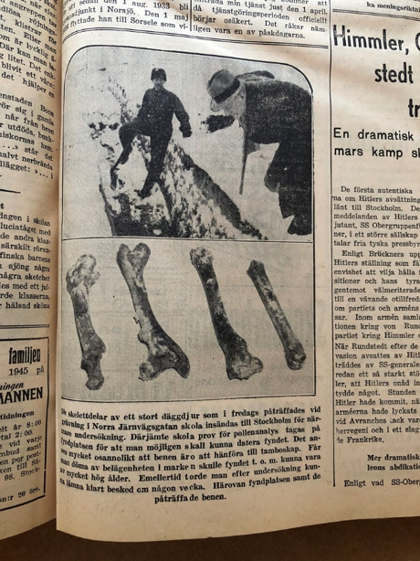 Tidningsnotis om fyndet i tidningen Norra Västerbotten 18 december 1944.
