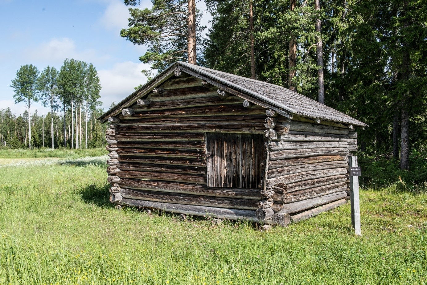 Den äldsta kända timmerbyggnaden i Västerbotten är en ängslada i Renbergsvattnet vars timmer fälldes på 1580-talet. Foto: Krister Hägglund/Skellefteå museum