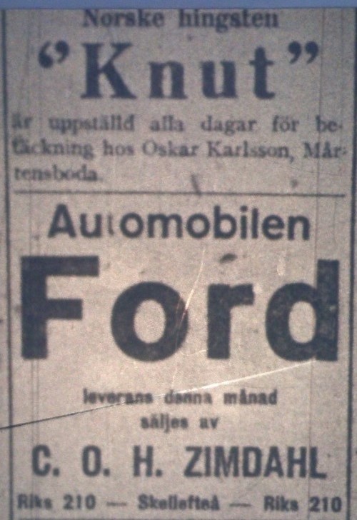 Dessa annonser från 1919 05 15 visar tidens förändring, en om hästen och en om bilen. 