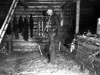 Tröskning med slaga på 1920-talet hos en torpare med obetydlig kornskörd. Foto: Skellefteå museum. SM E 00040.