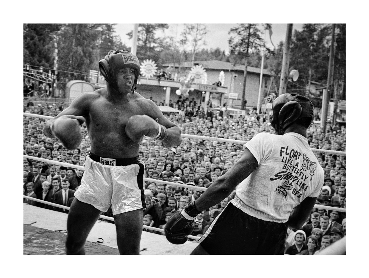 Muhammad Ali boxas mot Jimmy Ellis under Barnens Dag på folkparken 1965. Foto: Stieg Sandström, NV.