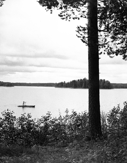 Inge Lindström, Skellefteå museum gör en provtur år 1985 av Skellefteå museums kopia av en stockbåt som påträffats i Västra Lillträsket, nära Varuträsk. Foto: Henry Lundström, Skellefteå museum. SM G 00575. 