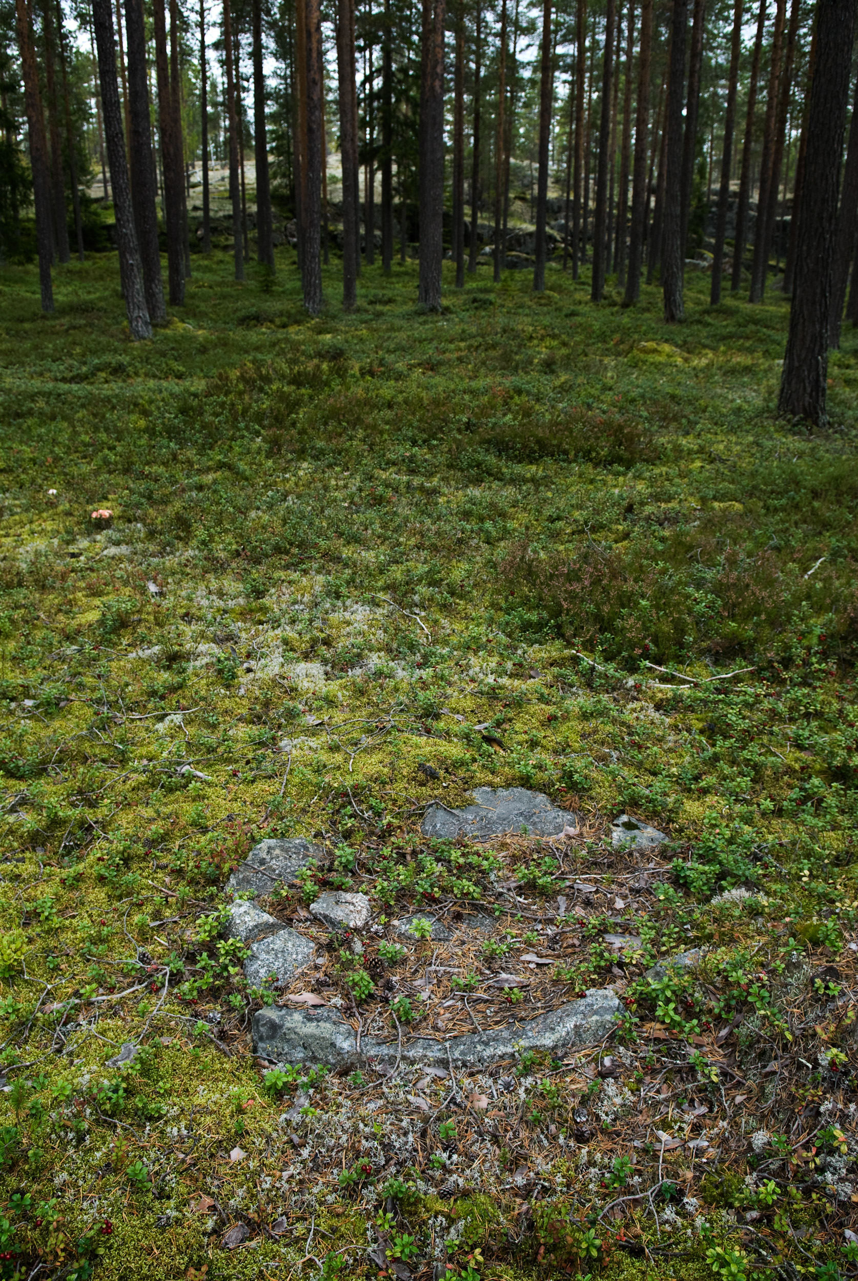 En oval árnnie är en typ som har lång bruksperiod och är i bruk från järnåldern fram till 1800 talet. Lappslyet, Drängsmark. Fotograf: Krister Hägglund. Skellefteå museum, DIG 03311.