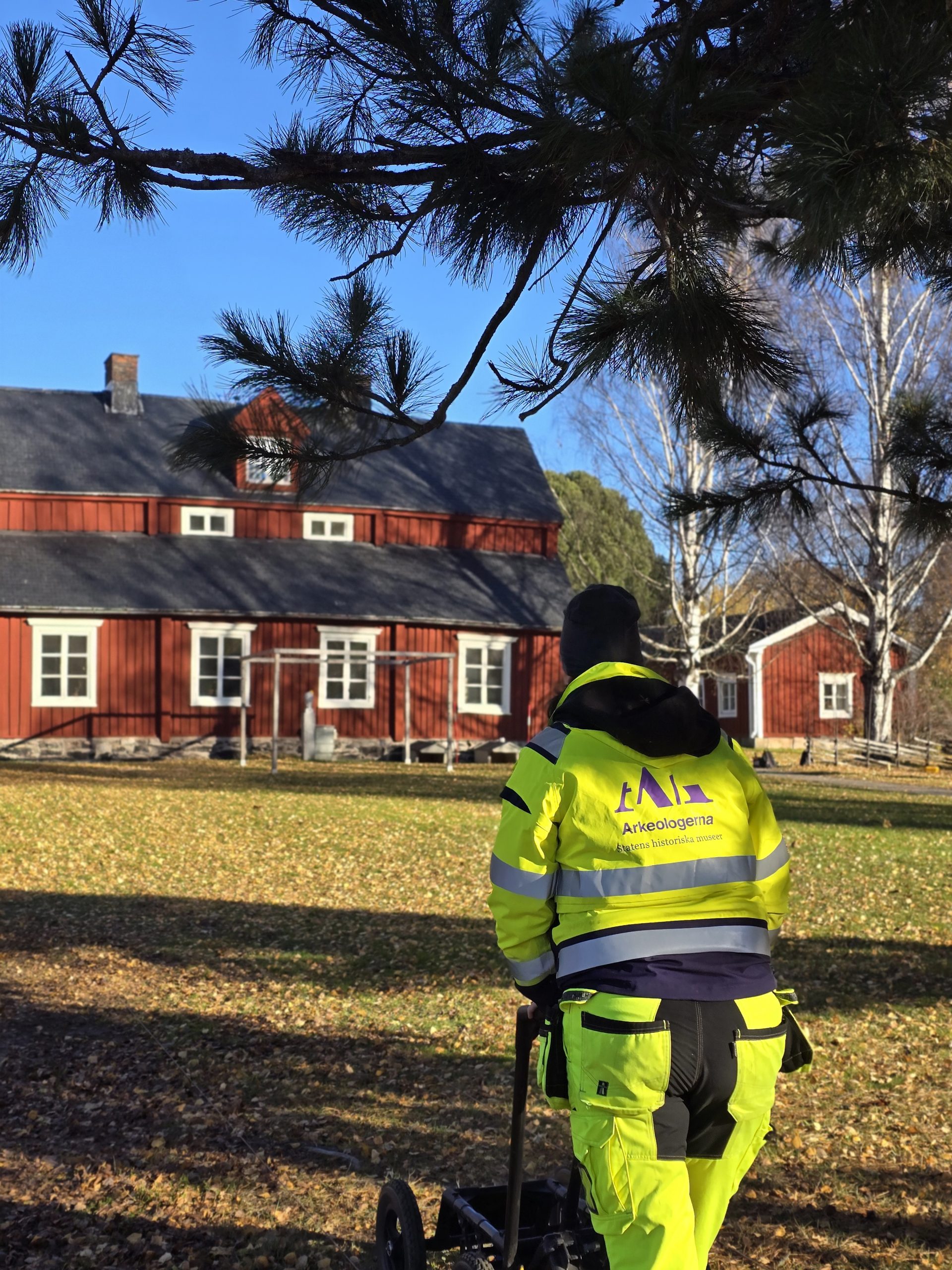Arkeolog i gul varseljacka går över gräsytan mot majorsbostället Nyborg på Nordanå, med röda byggnader och höstlöv i förgrunden.